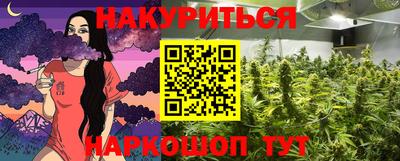 гидропоника Будённовск