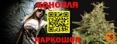 гидропоника Будённовск