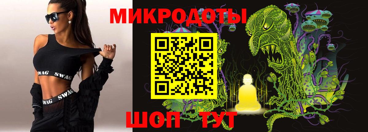 Галлюциногенные грибы Psilocybine cubensis Скопин