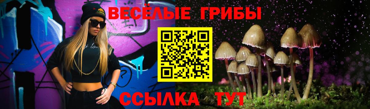 Скопин  Псилоцибиновые грибы мицелий  Галлюциногенные грибы Cubensis  Вход с VPN 